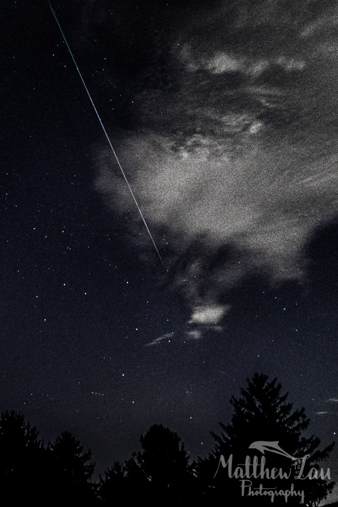 First Blog Post (1 of 1)