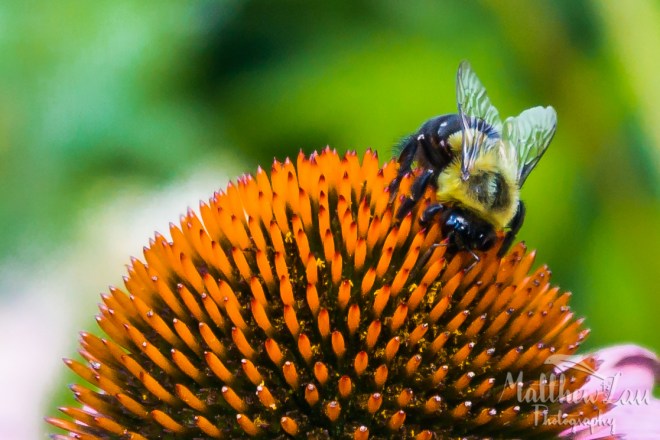 First Blog Post (5 of 6)