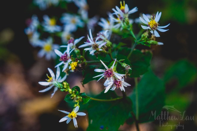 hiking924watermarked (13 of 28)