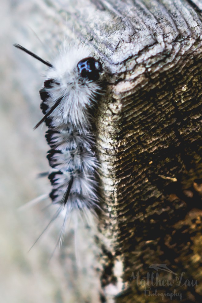 hiking924watermarked (16 of 28)