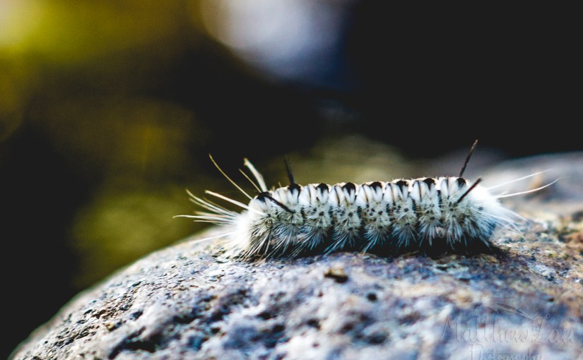 Spontaneous Hiking Trip&nbsp;(9/24/15)