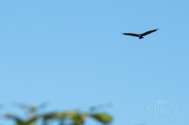 hiking924watermarked (6 of 28)