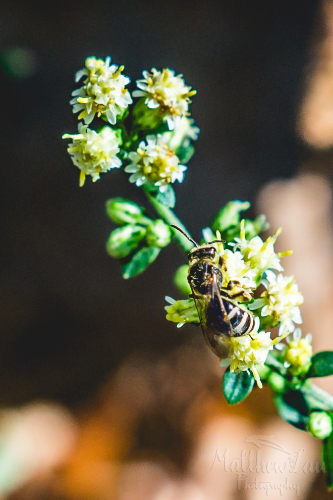 hiking924watermarked (9 of 28)