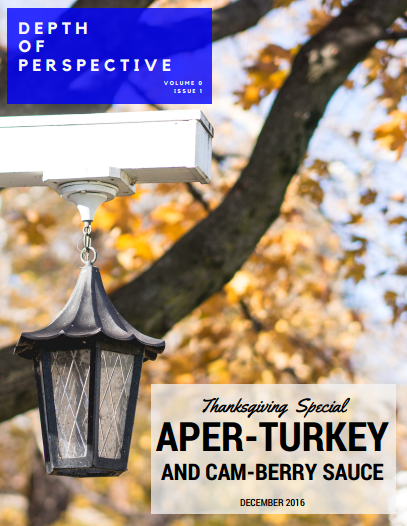 screen-shot-2016-12-03-at-5-27-57-pm